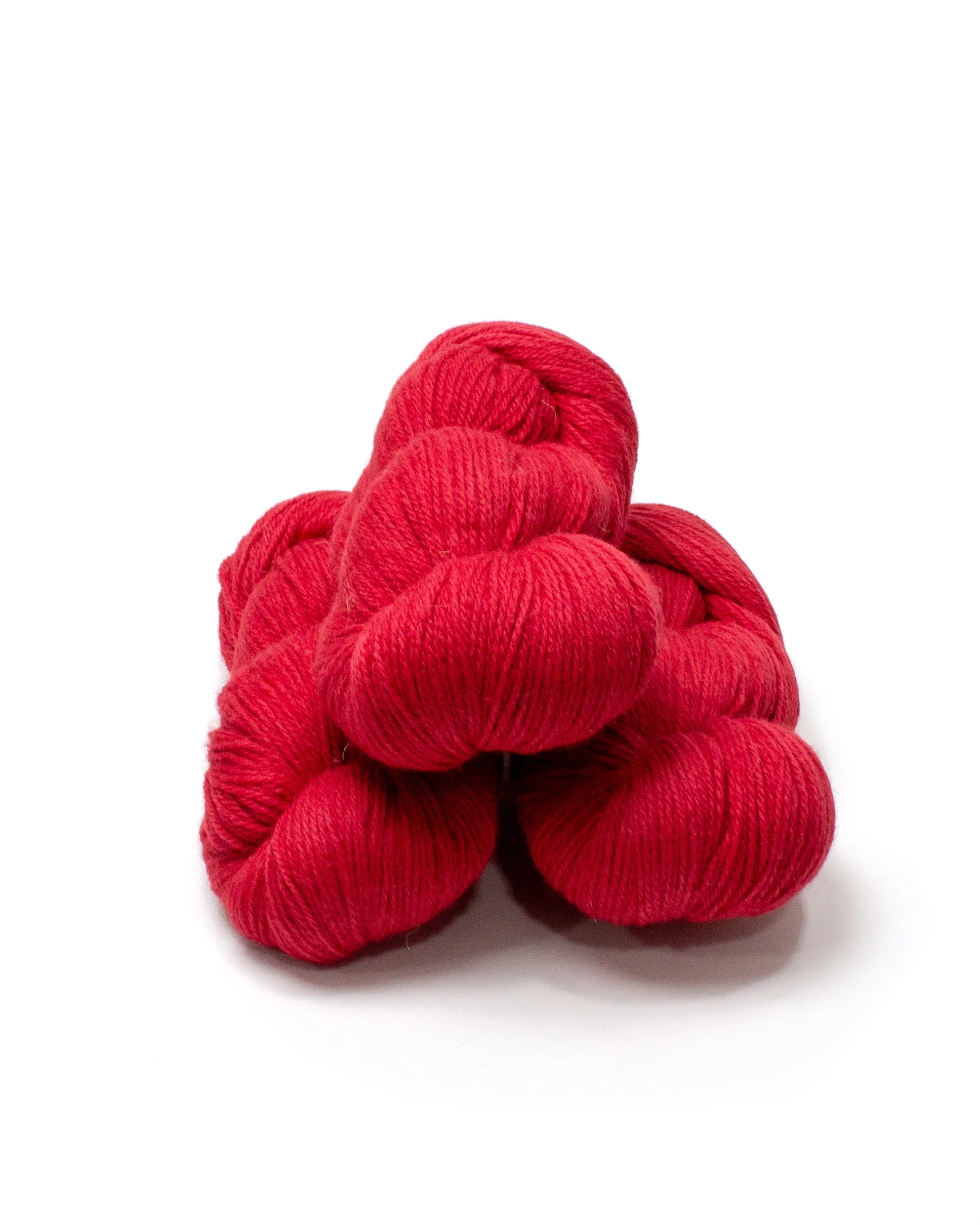 Baa Ram Ewe Coast - Lighthouse 304