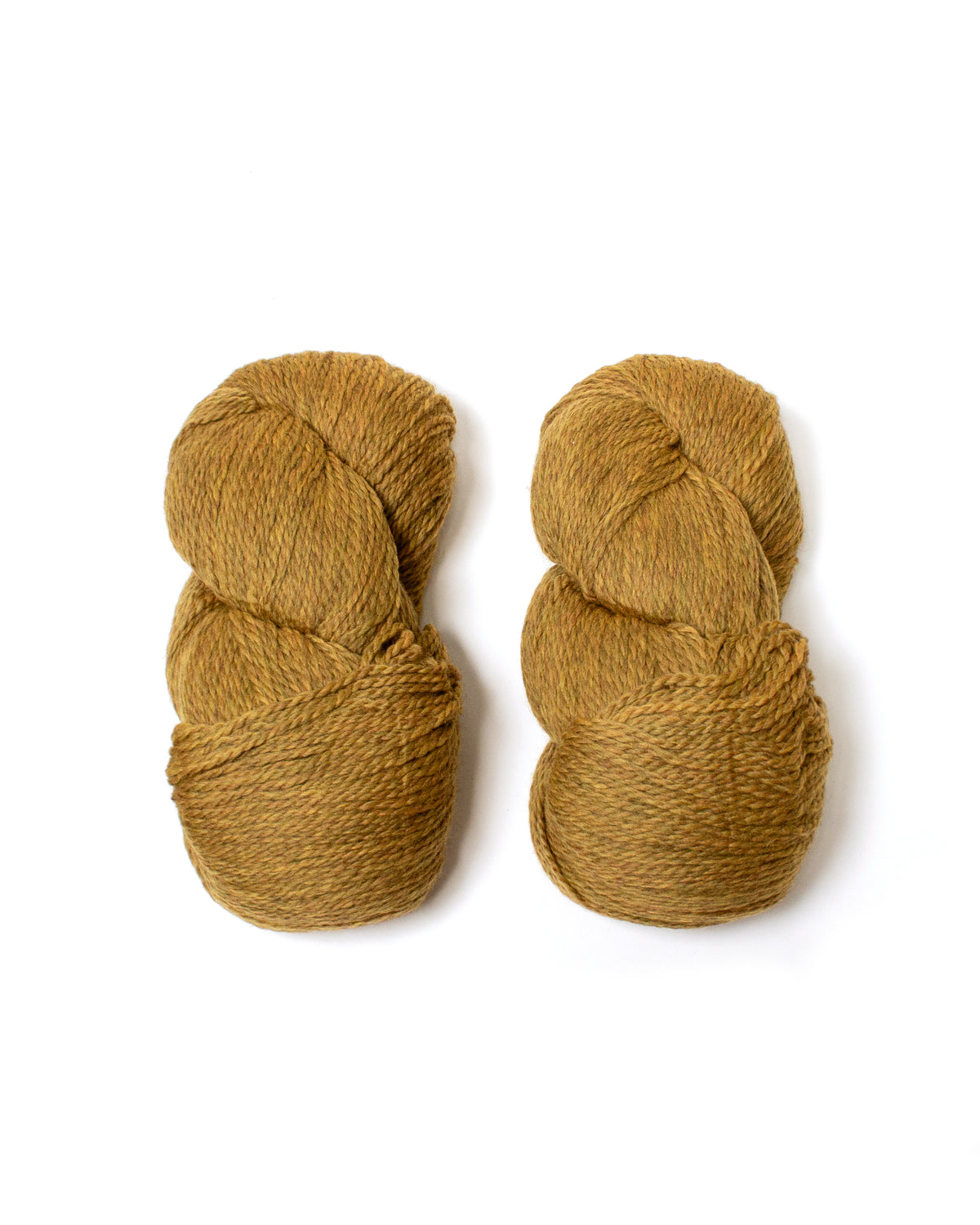 Cascade Eco+ Wool- Straw 4010