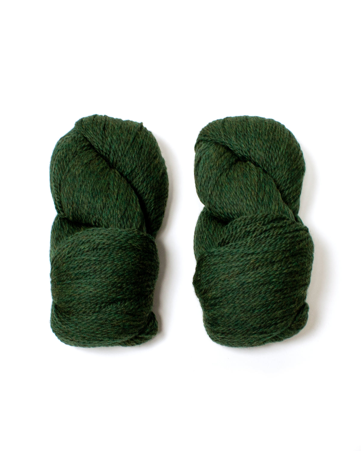 Cascade Eco+ Wool- Shire 2445