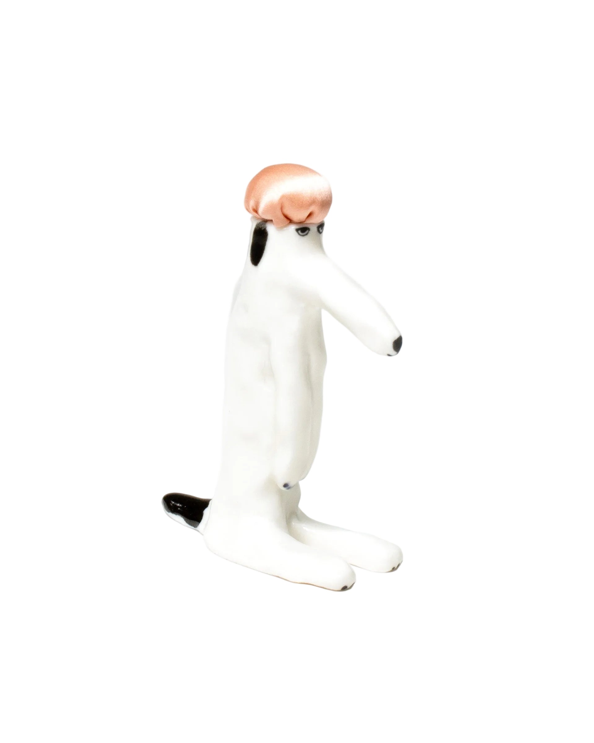 Haberdashery Dog Sitting