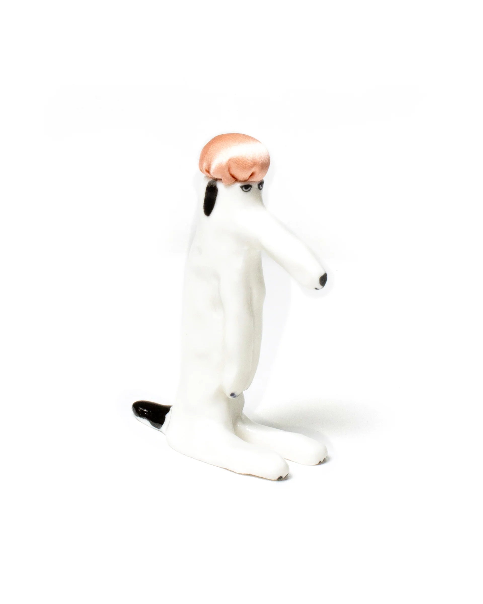 Haberdashery Dog Sitting