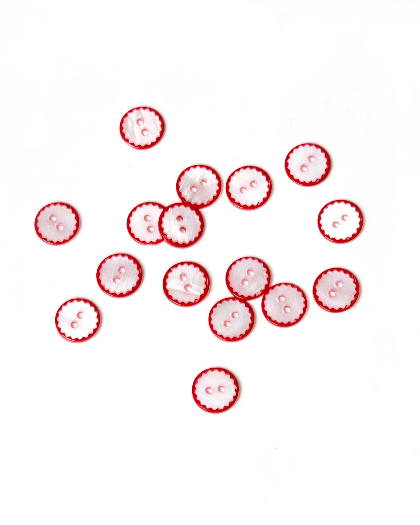 White Shell Red Scallop Edge 13mm