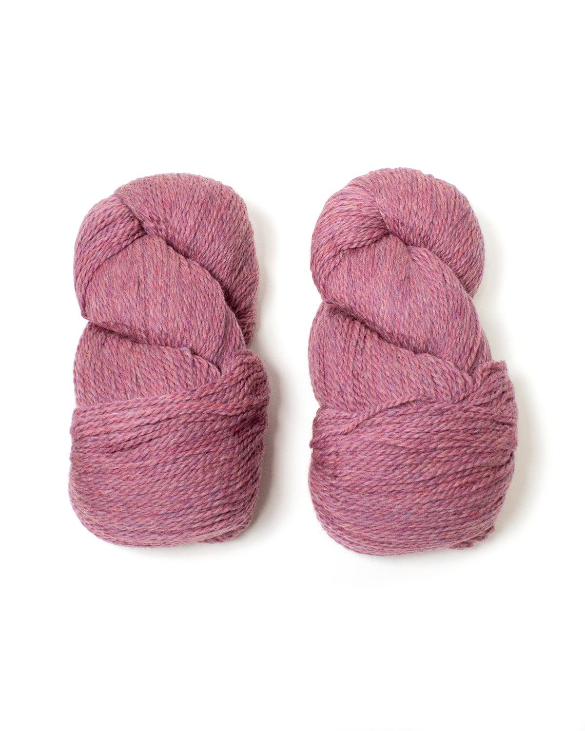 Cascade Eco+ Wool- Foxglove 3106